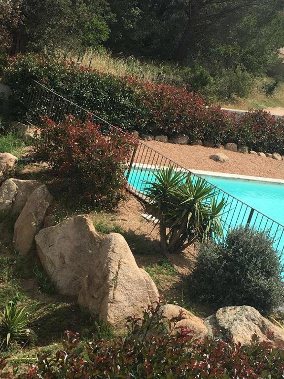 Appartement Proche Des Plus Belles Plages Porto-Vecchio  Exterior foto